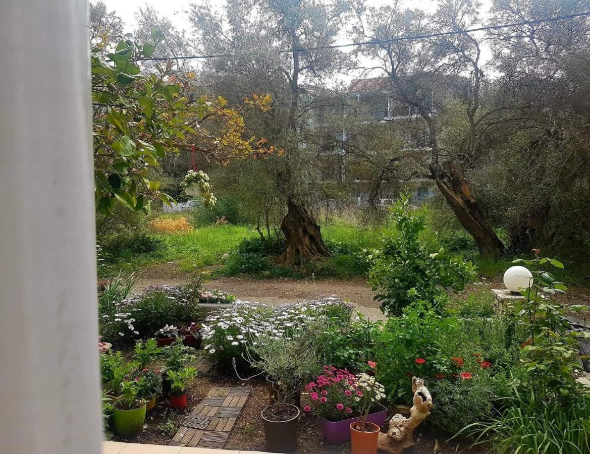 Lefkáda Efi'S Studio מראה חיצוני תמונה