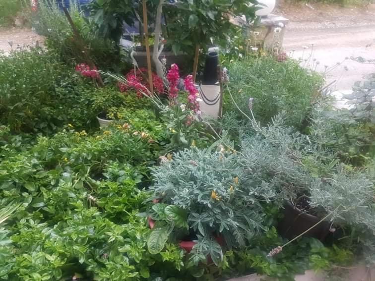 Lefkáda Efi'S Studio מראה חיצוני תמונה