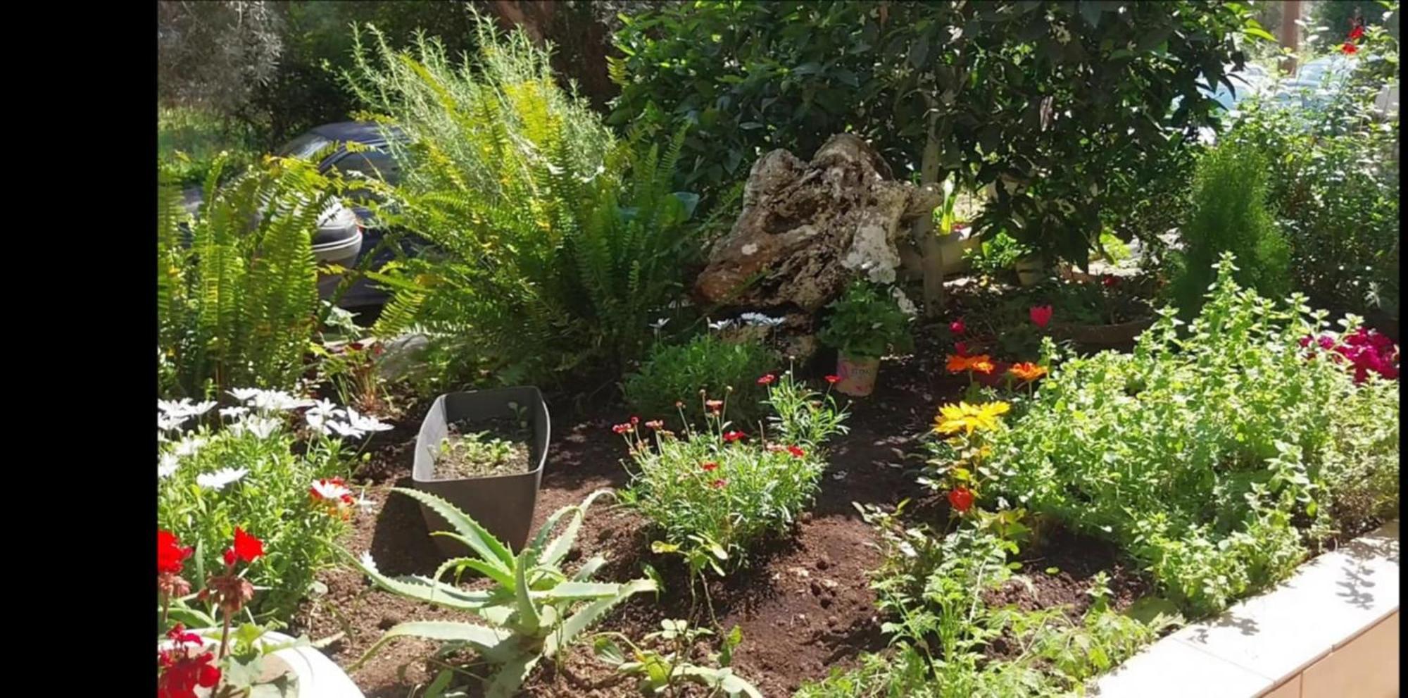 Lefkáda Efi'S Studio מראה חיצוני תמונה