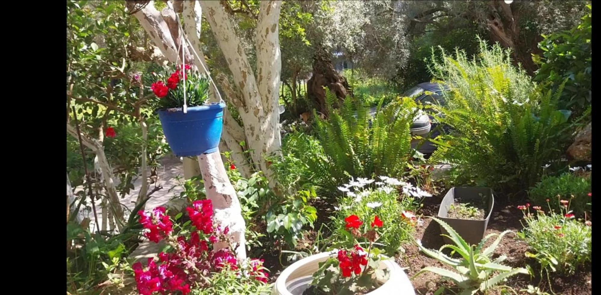 Lefkáda Efi'S Studio מראה חיצוני תמונה