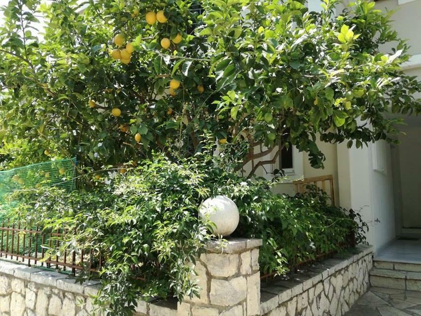 Lefkáda Efi'S Studio מראה חיצוני תמונה