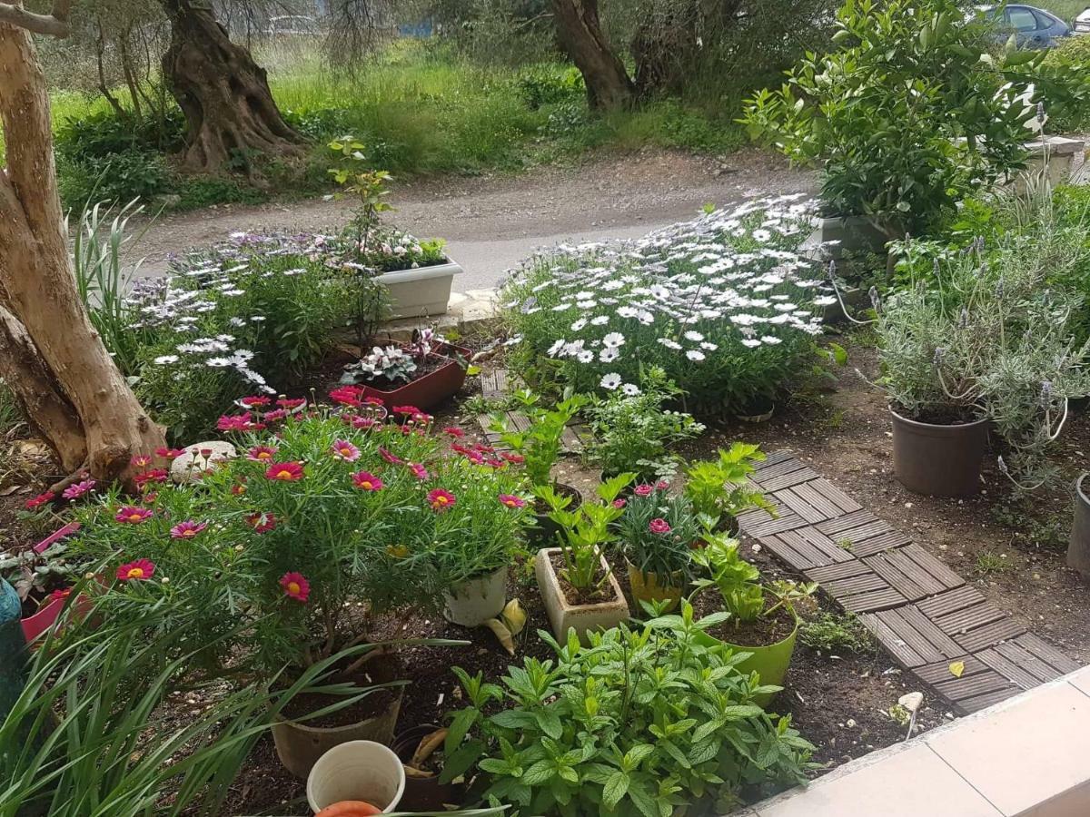 Lefkáda Efi'S Studio מראה חיצוני תמונה